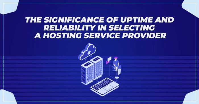 Web hosting uptime and reliability